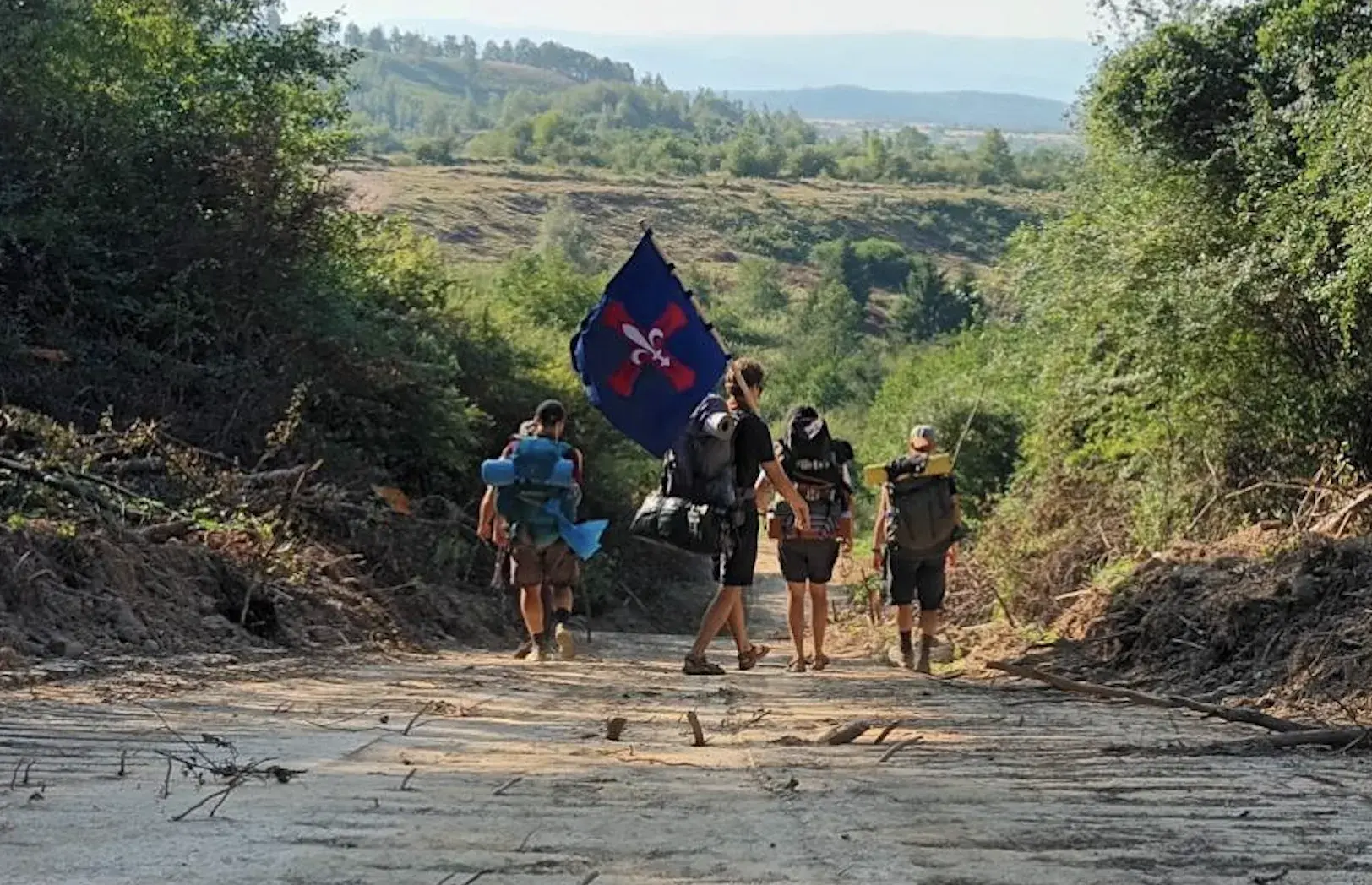 Cercetași în natură