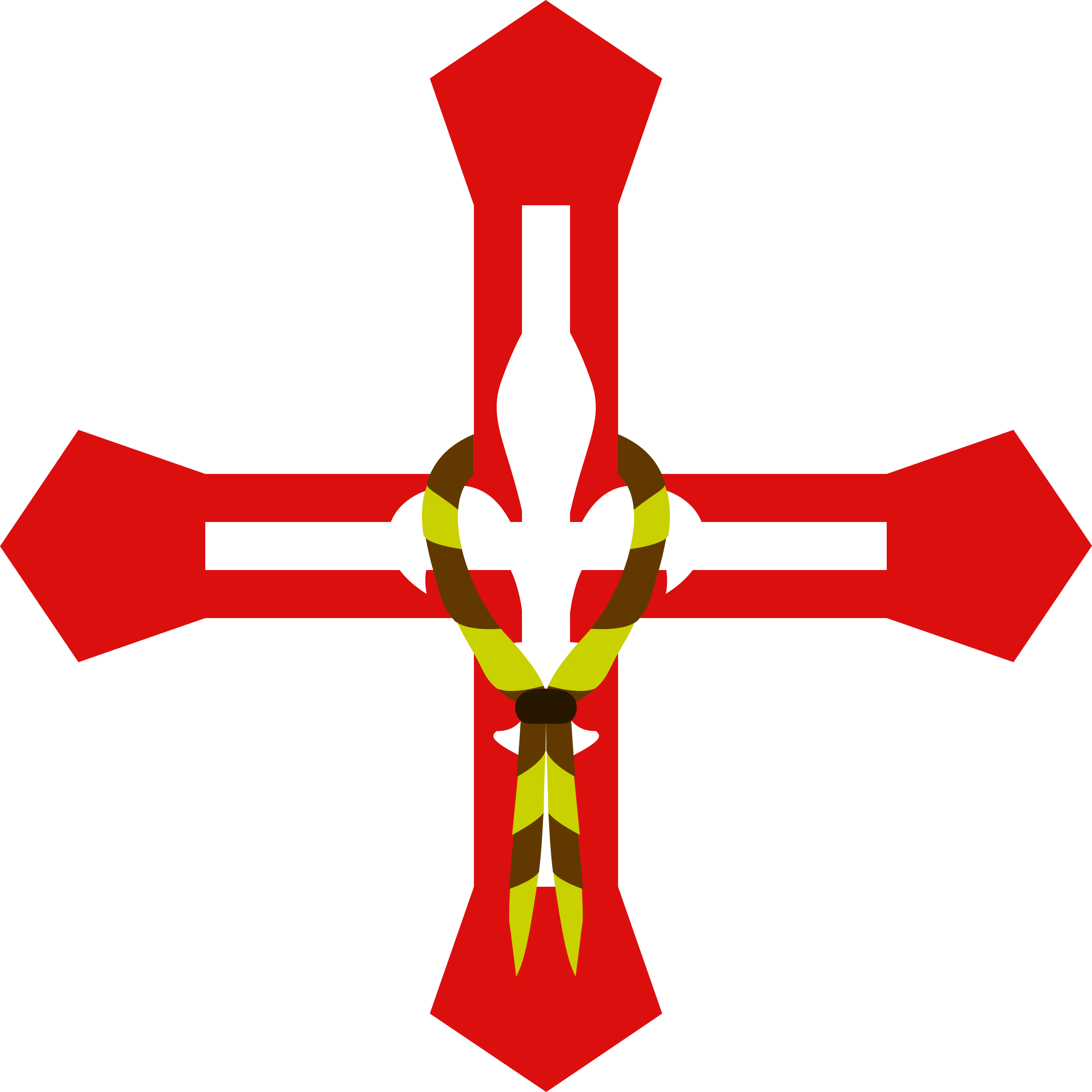 fundal=transparent, cravată=Baia Mare, pană=fără pană, con petrecere=fără, olive branches=fără, baloane=fără.png